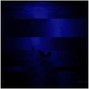 Alpheus Waves - N2U
