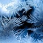 Seuss - Icey