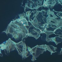 swim
