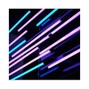 EDENAUER - W/ TOM$ON