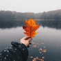 RezBeats - Falling Leaf - Sad Acoustic Guitar Type Beat