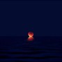 T4 - MOON PHASES