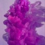 carlse - PURPLE BOX