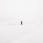 carlse - WHITE UNISON