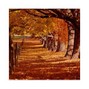Taj Outlaw - Autum