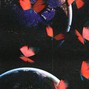 Tapehook - Birds And Flowers