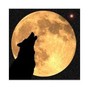 TQ2 - New Moon