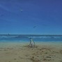 Teddy Oso - Silk Sand (BPM 99)