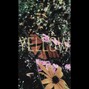 Stobbsyy beats - [2021] Yellow | Kid Cudi Type Beat