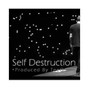 TeeO Productions - Self Destruction(Prod. TeeO)