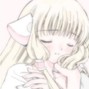 shingen - let me be with you