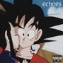 shingen - ECHOES
