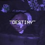 shingen - DESTINY