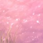 TEXCEL - PINK LAGOON