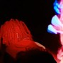 Shotobeats - RED