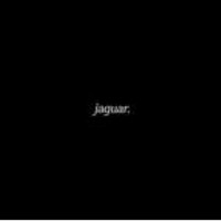 jaguar.