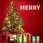 ScorpioBruv - MERRY