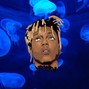 PONZI - I'm So Sorry