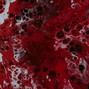 Kamel on the track - StarV (143bpm) ft. Empty