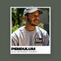 ThePlanBeats - Pendulum