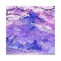 TheRealAGE - Blossom