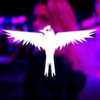 The Skylark
