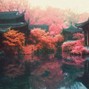 The_Js - Shanghai Raindrops w/ w.o. maria