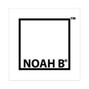 Noah B - Genesis 0.14