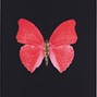 lucian - beat698-red