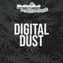 Don Peligro - DIGITAL DUST