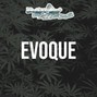 Don Peligro - EVOQUE 