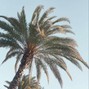 nothing else - Beach