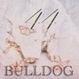 DJHITMoney - "Fivio Foreign x Lil Tjay x Pop Smoke " Type Beat - 44 BullDog