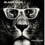 Phazelark - Black Lion