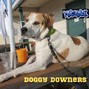 Phazelark - Doggy Downers