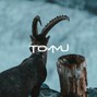 Tommu - 542