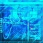 DEAD RAT CVLT - ##L1V3L34KN1GH7M4R3R007K17