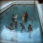 TREETIME - sink/swim