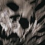 venexxi - venom