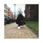 Johnny Crooks - Stare | Drake