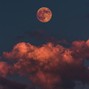 wstdtime - (free) 2tired - lofi boombap type beat