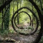 pradaaslife - in the woods