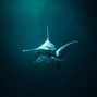 Troy Sylvia - Shark Tank 