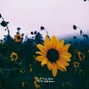 RJR Beats - (FREE) Lo-fi Type Beat - Ready when you are