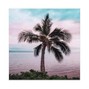 Trxppy Reality - So In Love