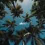 relifreshbeats - EveryDay