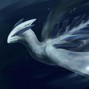 AniLiMars - Lugia