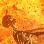 AniLiMars - WW3 Stopper 123