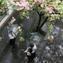 ☆ hateizumi - Bird
