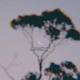 Flight Lounge Beats - {FREE4PROFIT} ace 🎯 {spacey trippy trap type beat}